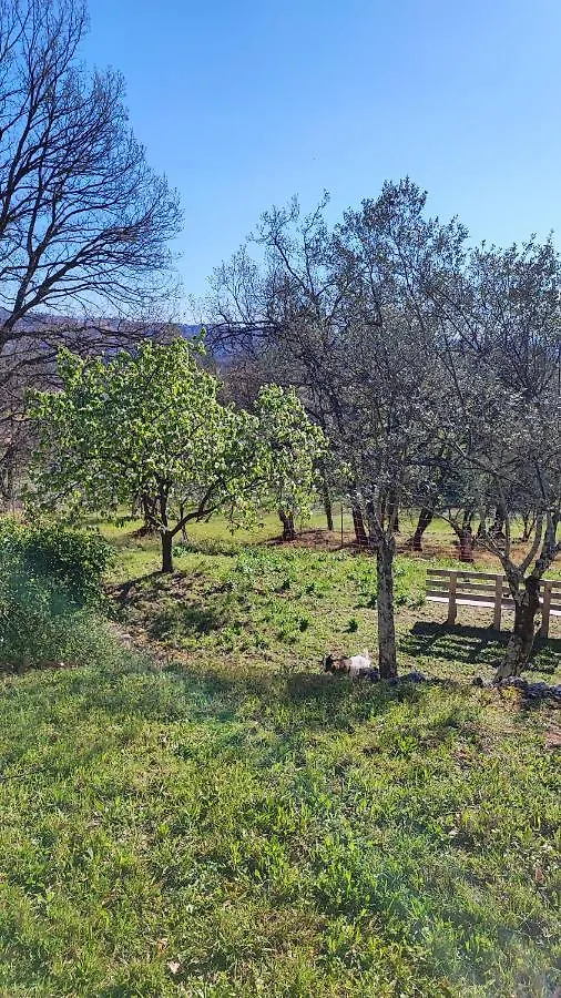 Le Mas Melusine Fayence Bed & Breakfast